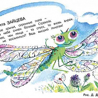 zajceva murz