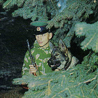 џ b ѓC2A0u®g¬ - 1988