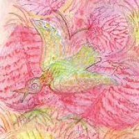 vishneva