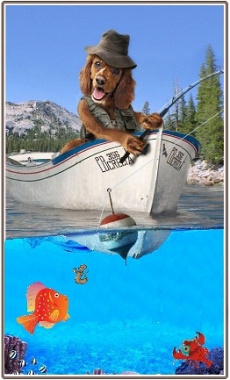 Крючок и червячок