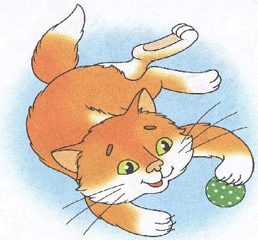 Мой котик