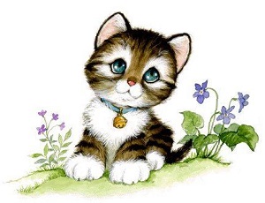 1кот