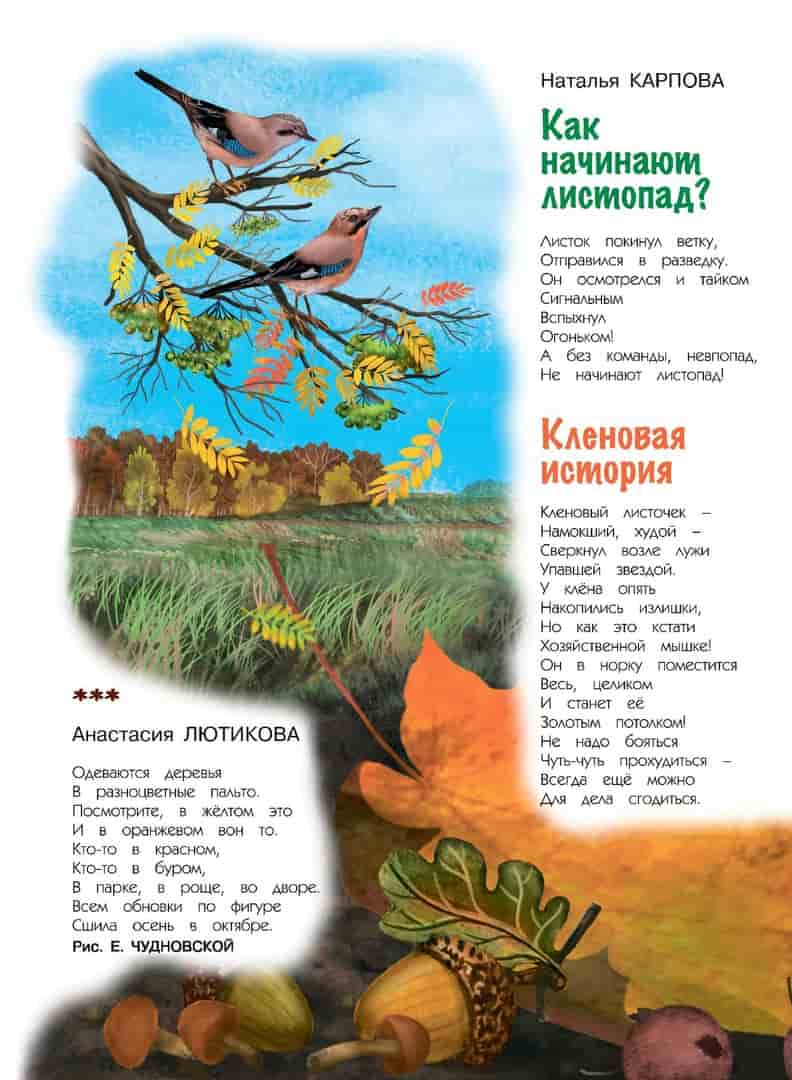 12М карп 10