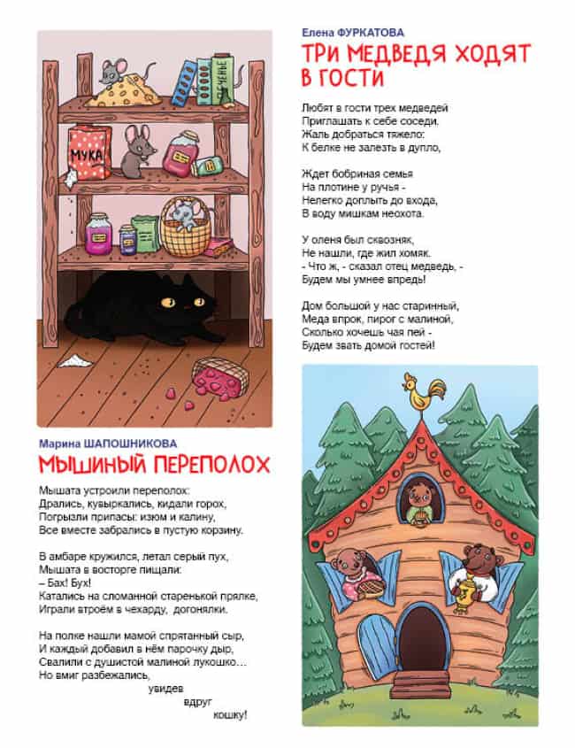 4 миш