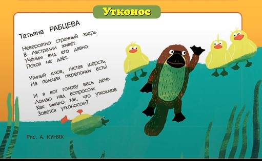 6М рабц