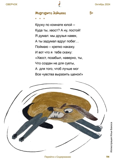 7Зайц