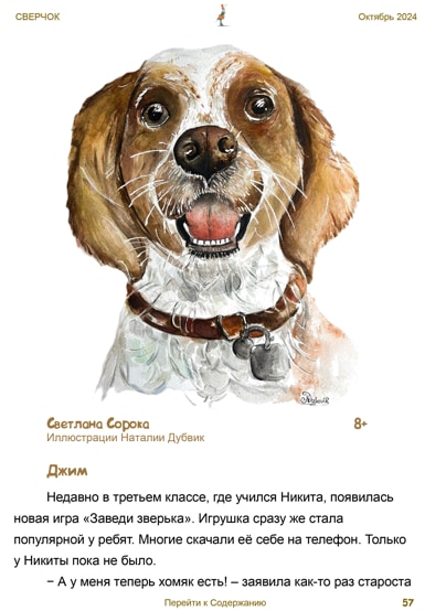 7сорока