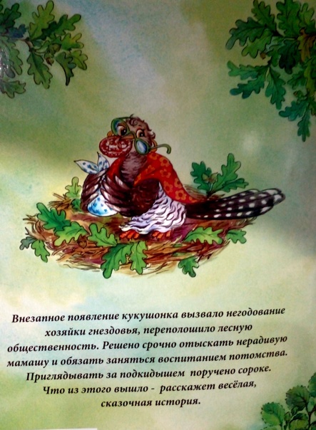 6р
