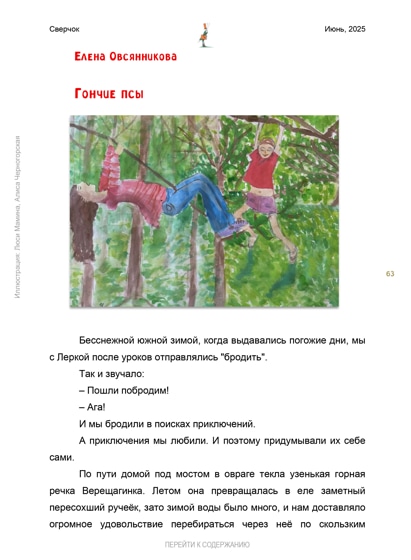 11шип