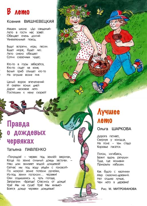 14М шарк