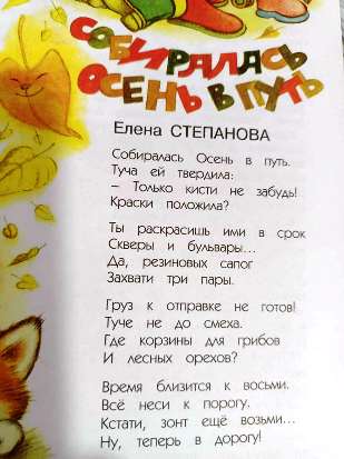 13МСтепанова