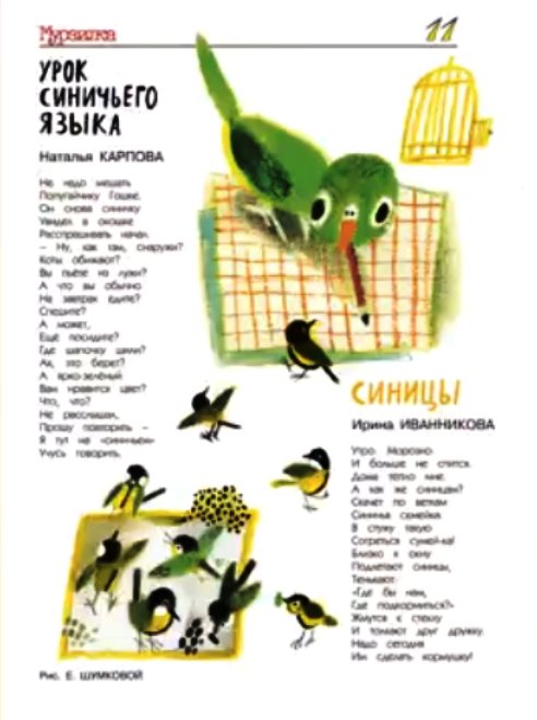 8МКарпИван