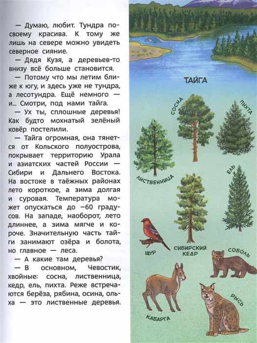 7б