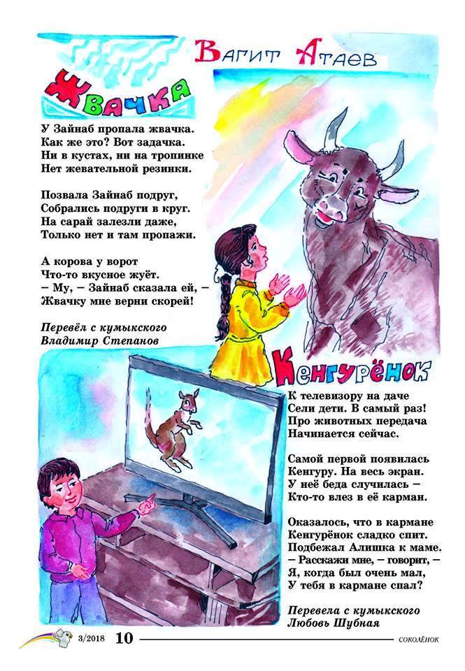 ННШуб
