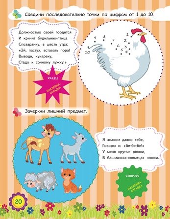 10 петух