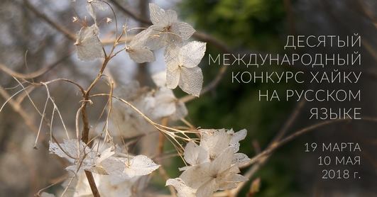 Стеценко