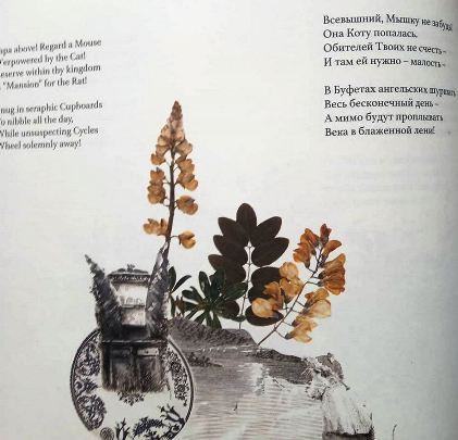 12б