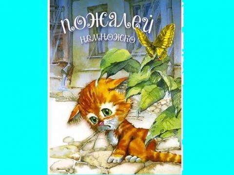 Наши новые книги-2. "Пожалей немножко"