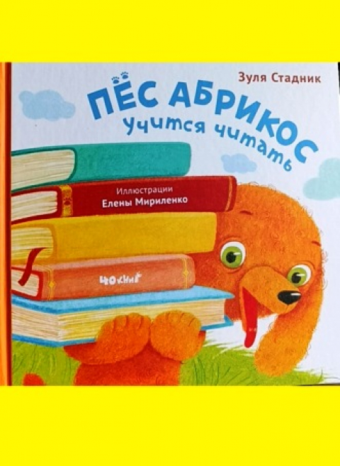 ЗУЛЯ СТАДНИК