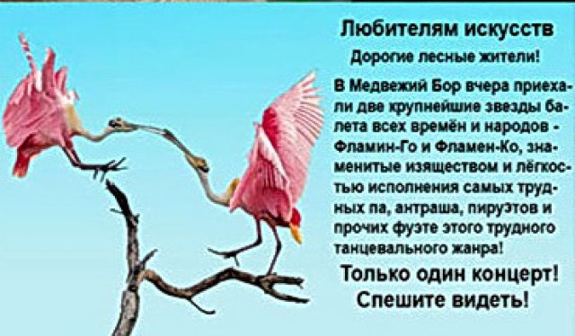 Как фламинго танцевали!