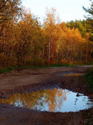 Октябрь лисёнком непослушным