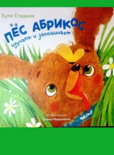 ЗУЛЯ СТАДНИК