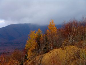 Осеннее