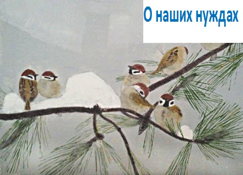 К членам ТО ДАР и сочувствующим